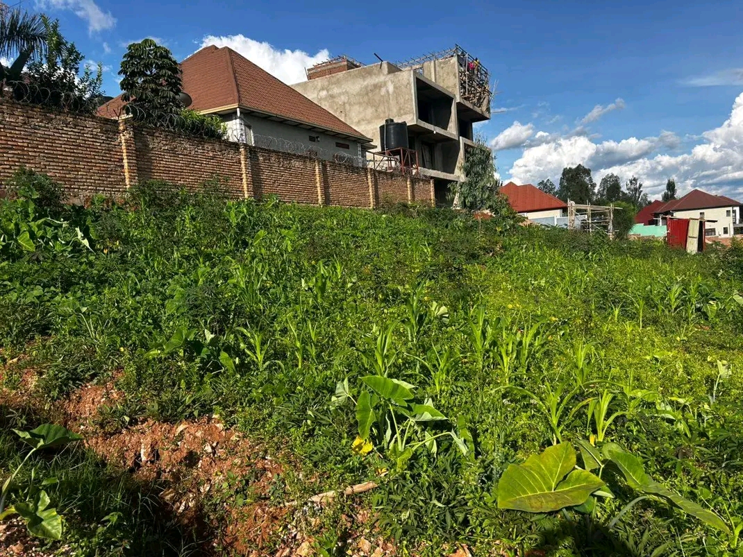 Plot for sale in rebero with nice view